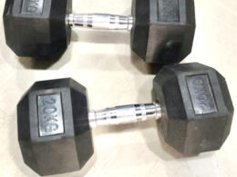 Hex Dumbbells 1 x 20kg