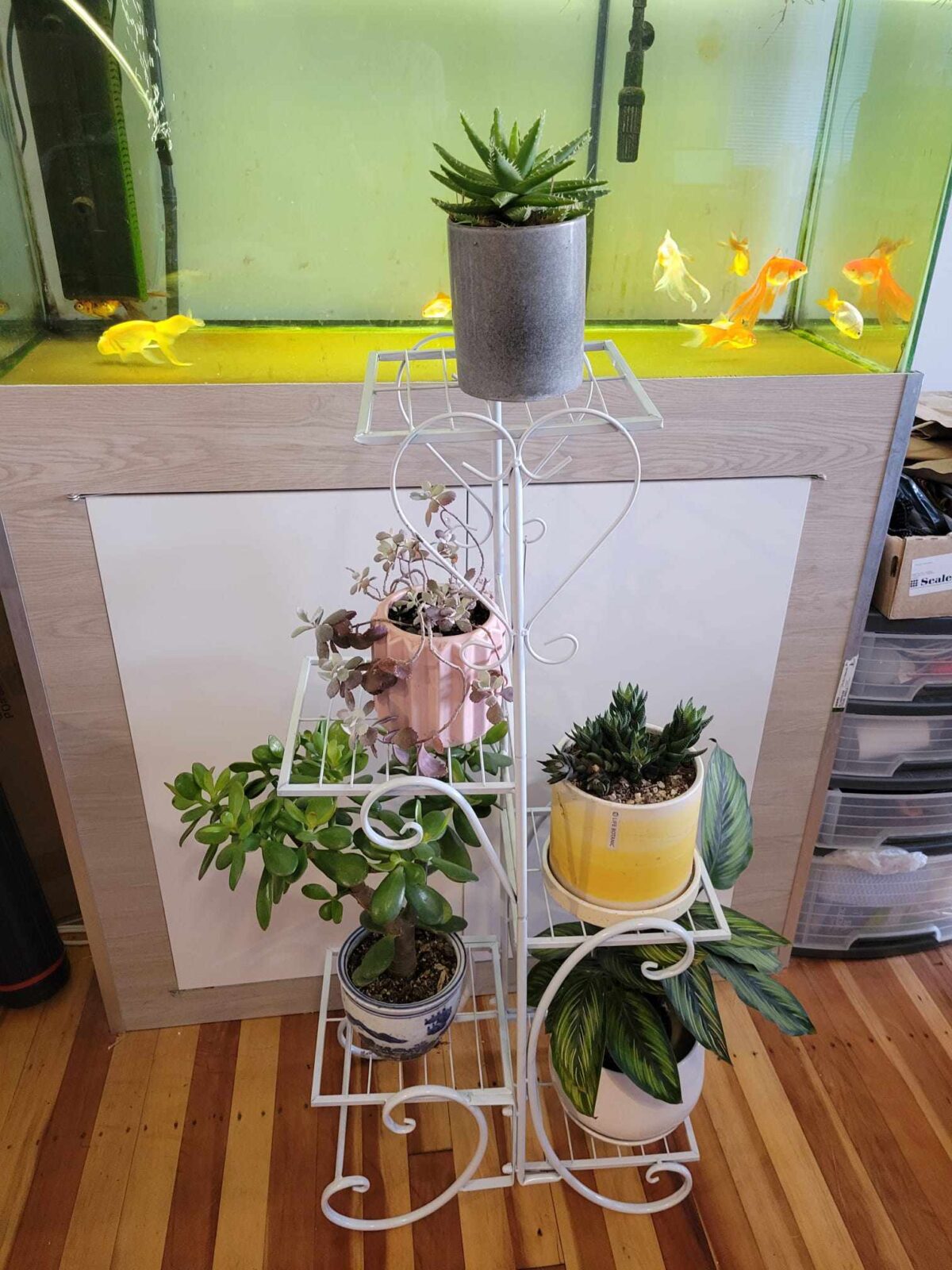 6-pots Flower Stand - Image 5