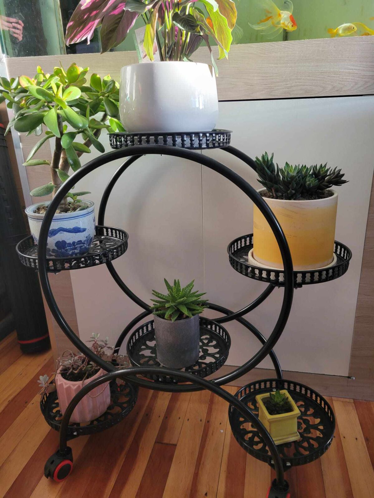 6-pots Flower Stand - Image 6