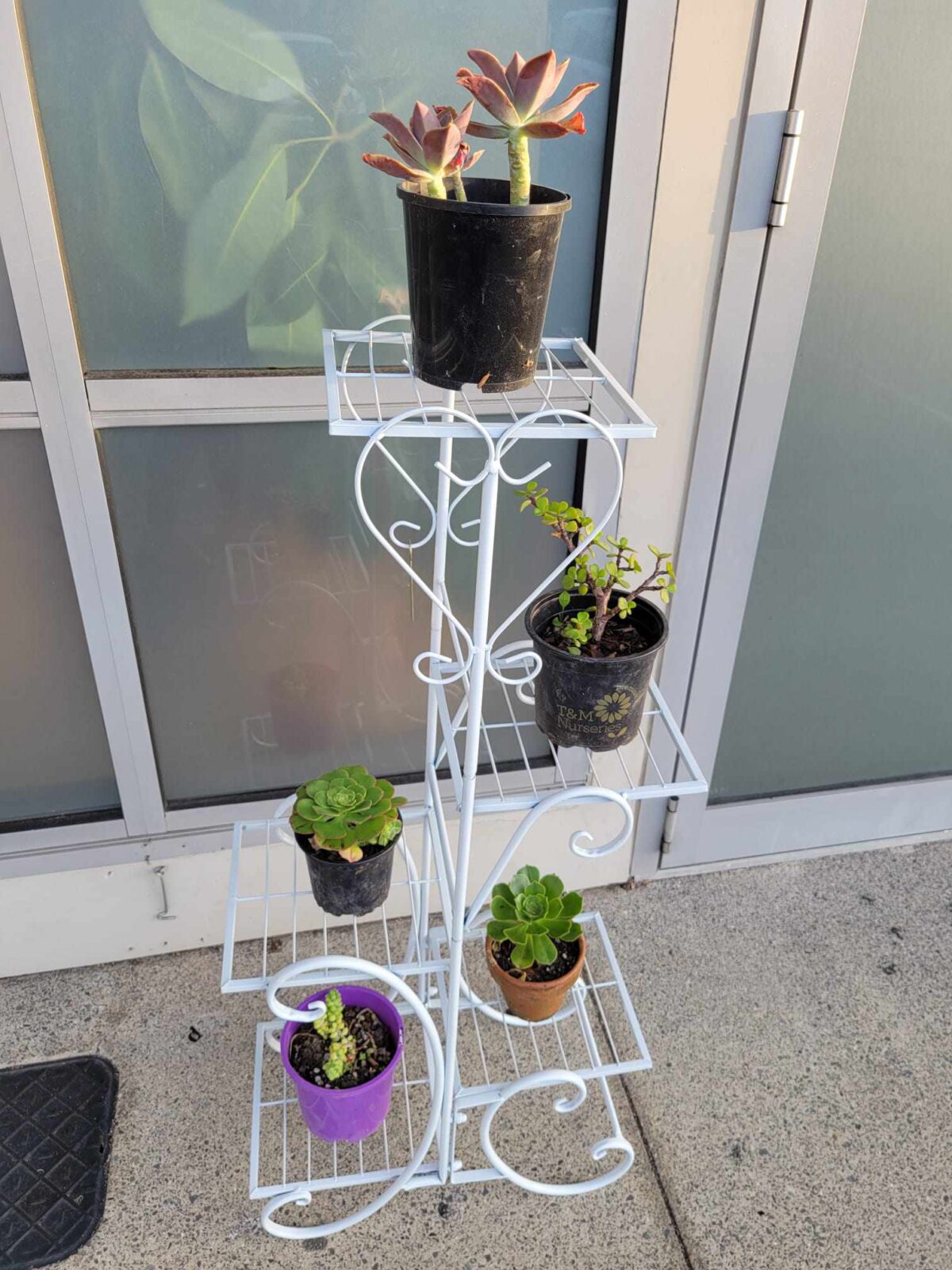 Flower Stand