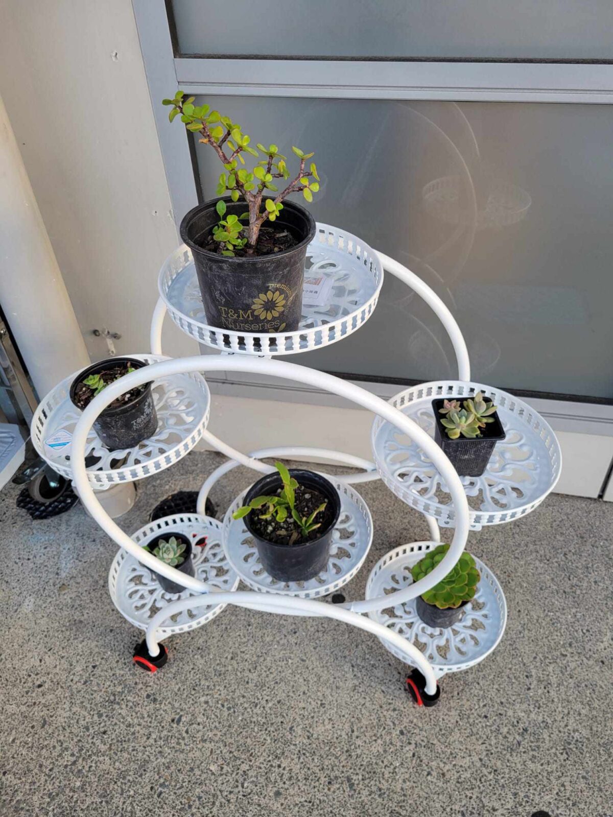 Flower Stand - Image 2