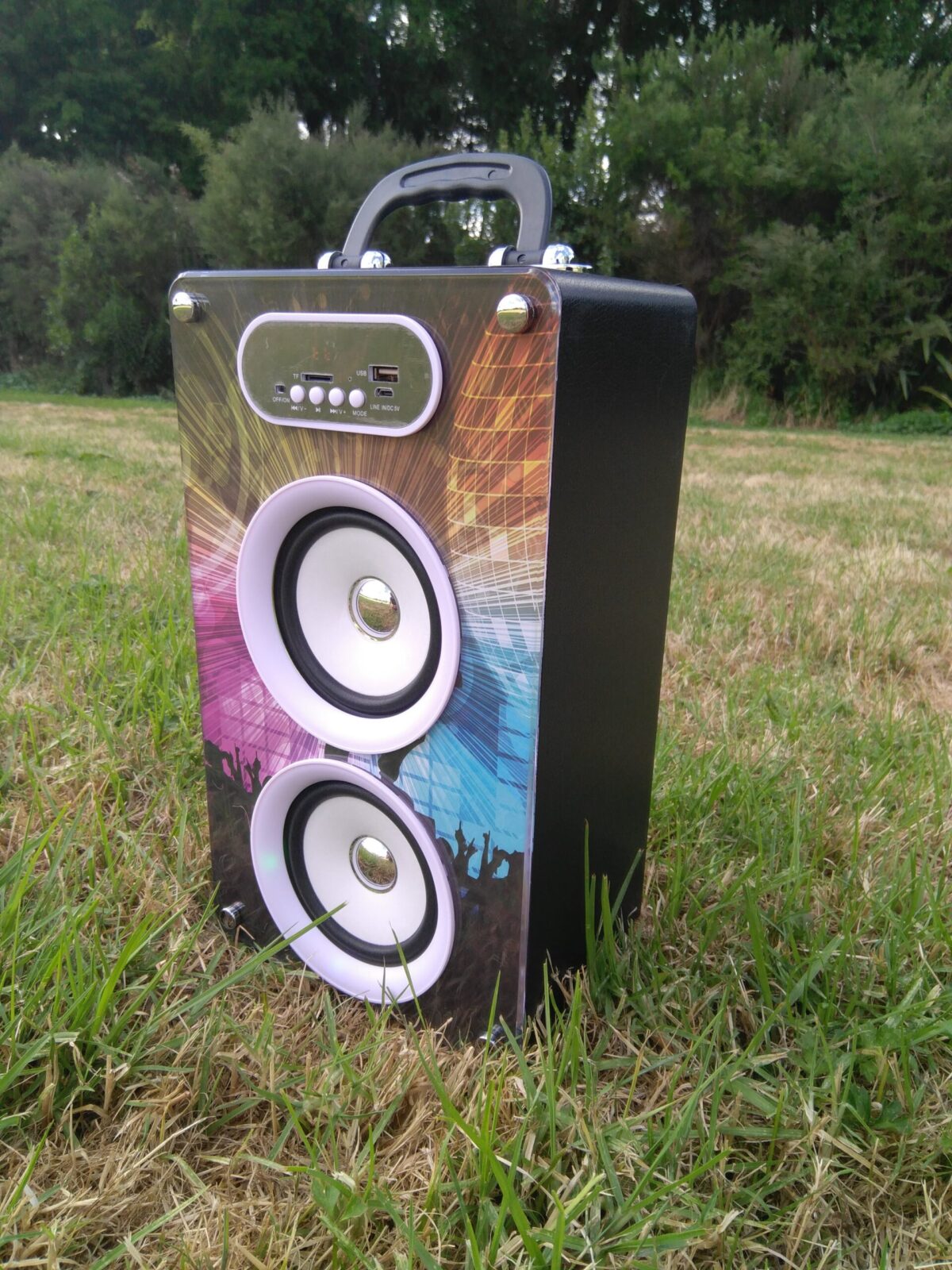Classic Portable Speaker - Image 2