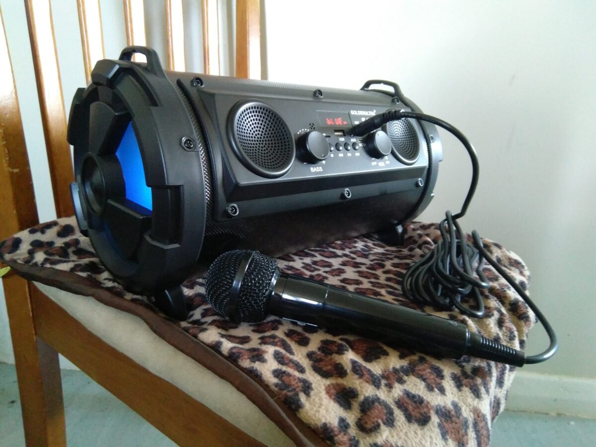 Portable Bluetooth Karaoke Speaker with microphone - Image 2