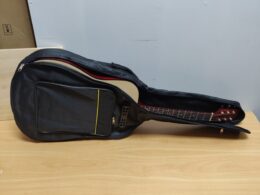 Guitar case (up to 41 inches)