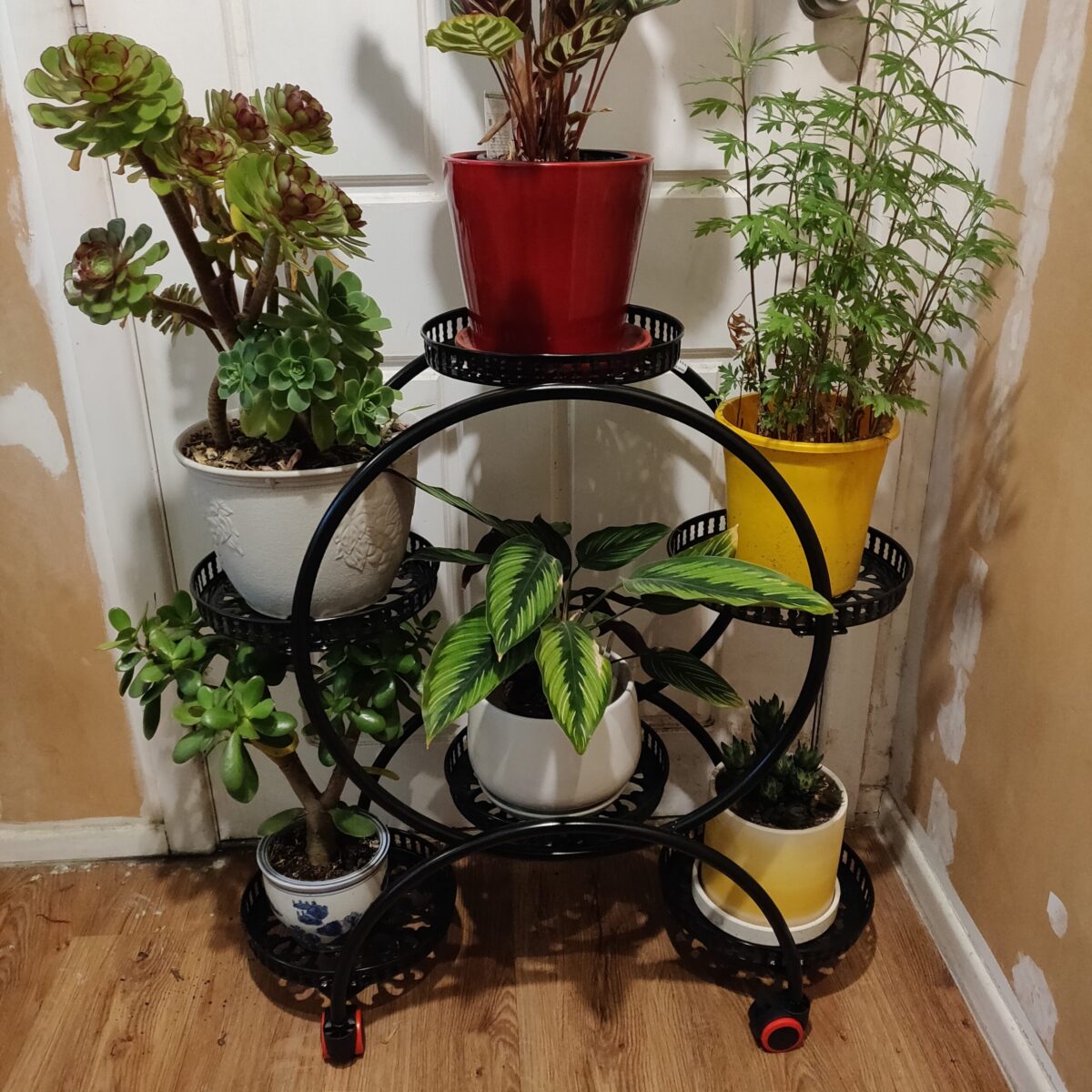 6-pots Flower Stand