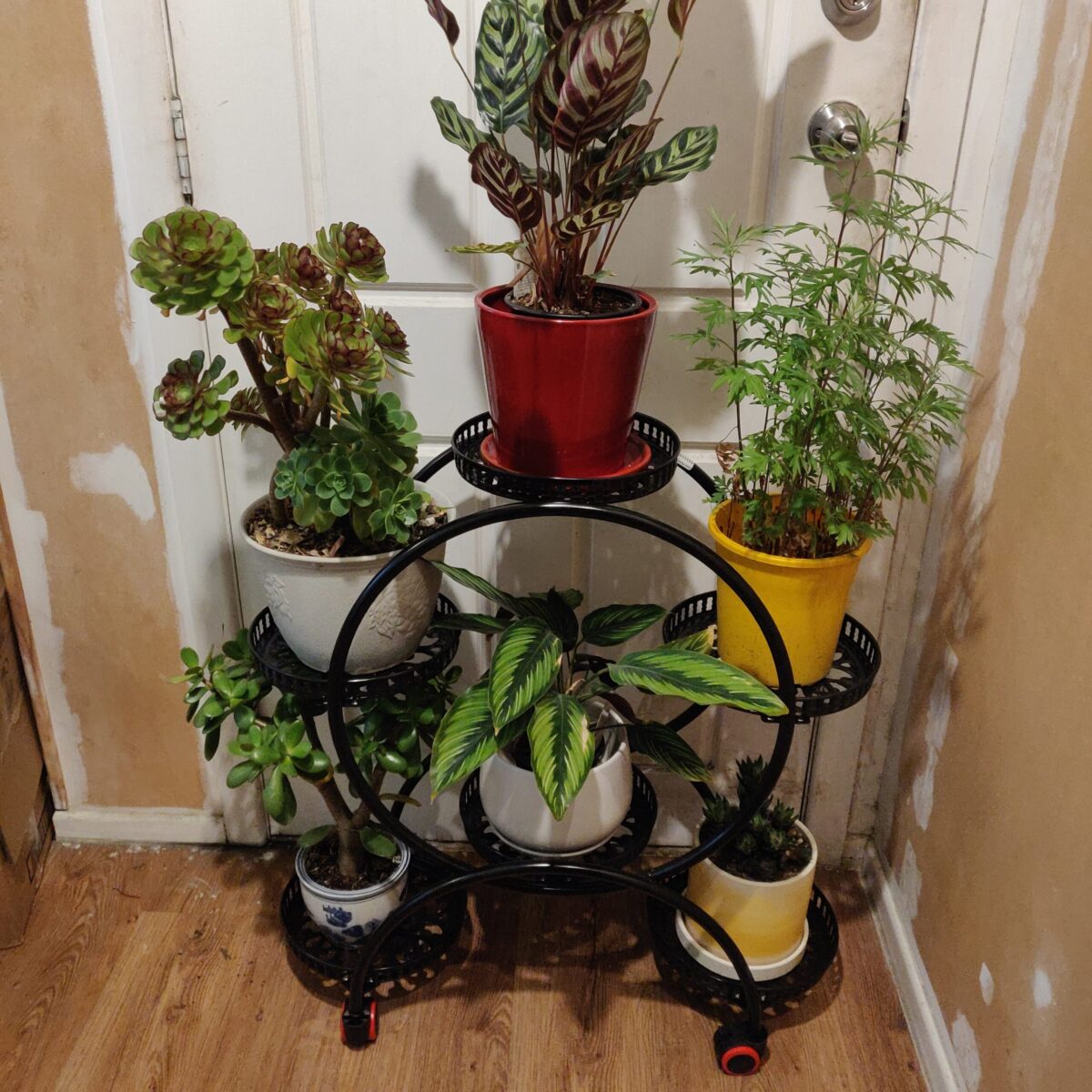6-pots Flower Stand - Image 7