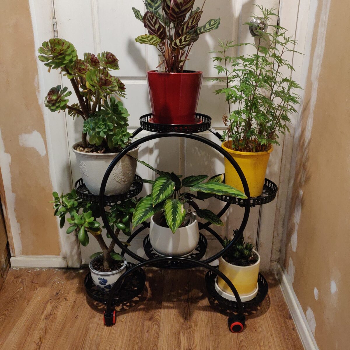 6-pots Flower Stand - Image 8