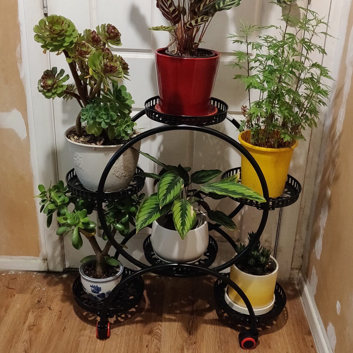 6-pots Flower Stand - Image 9