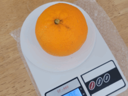 Kitchen Digital  Scale